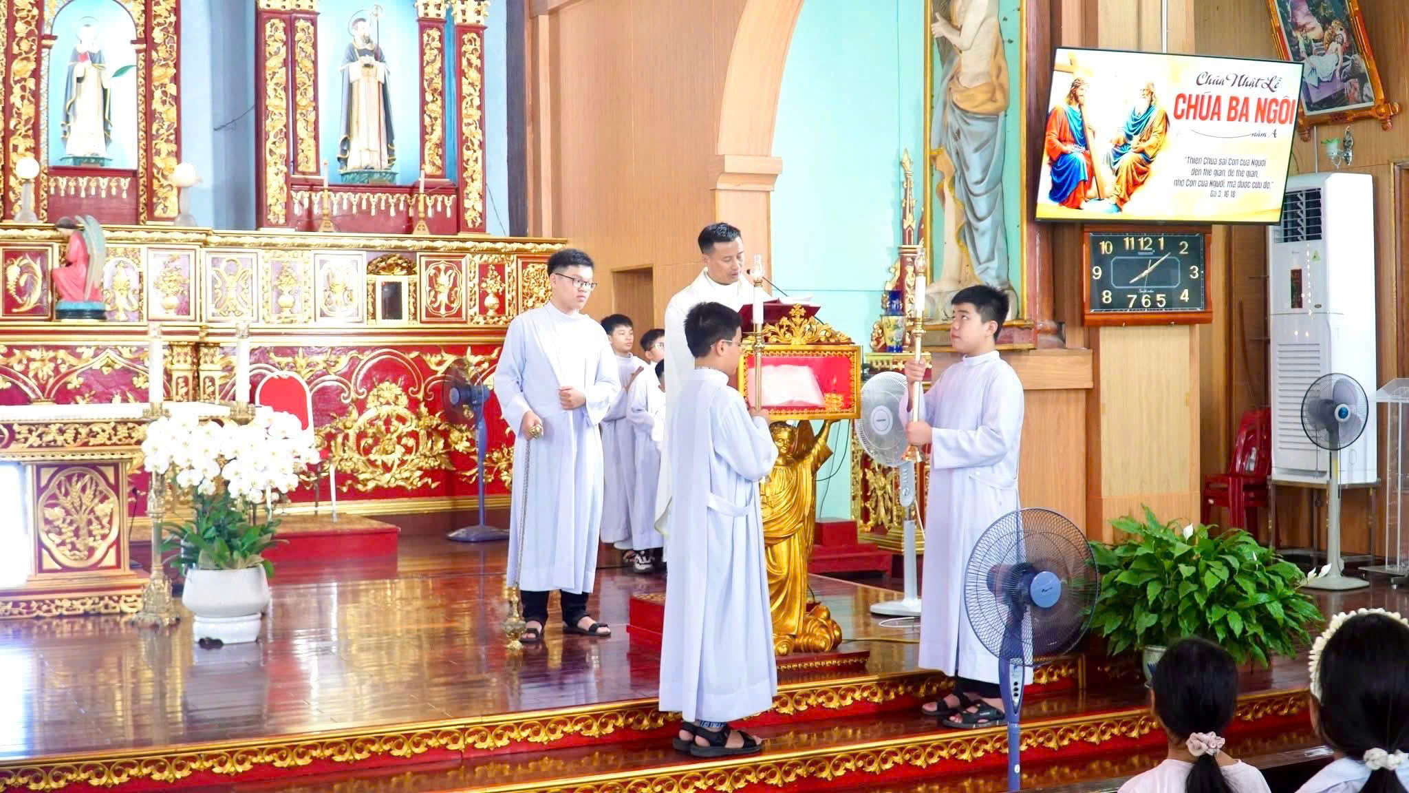 Photo-11